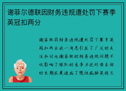 谢菲尔德联因财务违规遭处罚下赛季英冠扣两分